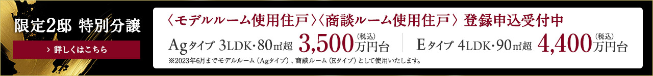限定2邸　特別分譲、Agタイプ　3LDK　80㎡　3500万円台、Eタイプ　4LDK　90㎡　4400万円台