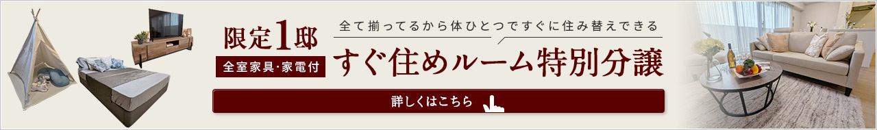 すぐ住めルーム　限定1邸　家具家電付き　特別分譲