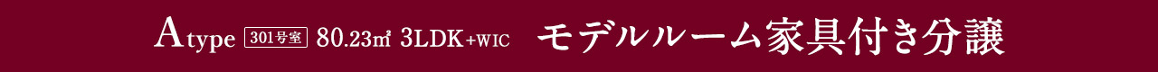 Aタイプ(301号)　80.23㎡　3LDK＋WIC　新モデルルーム家具付き分譲