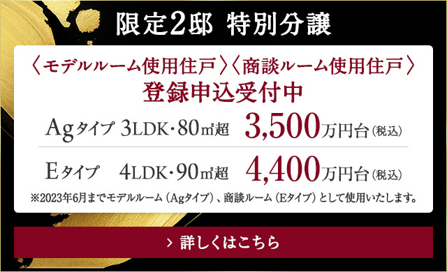 限定2邸　特別分譲、Agタイプ　3LDK　80㎡　3500万円台、Eタイプ　4LDK　90㎡　4400万円台